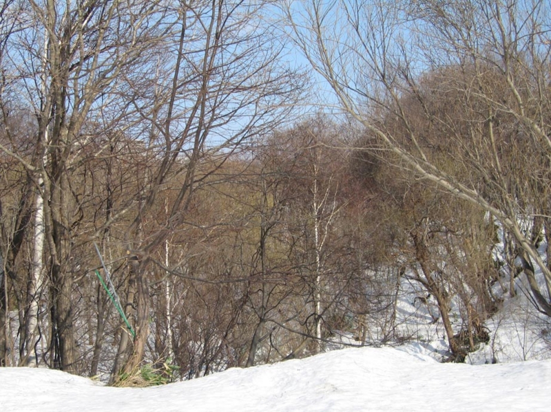 f:id:atarou:20110409054639j:image