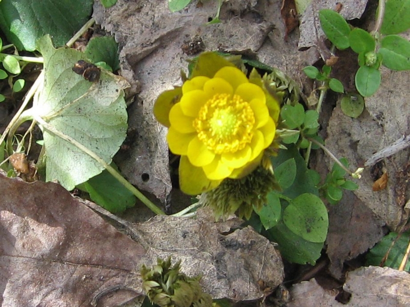 f:id:atarou:20110409200627j:image