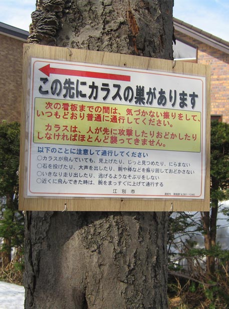 f:id:atarou:20110410064927j:image