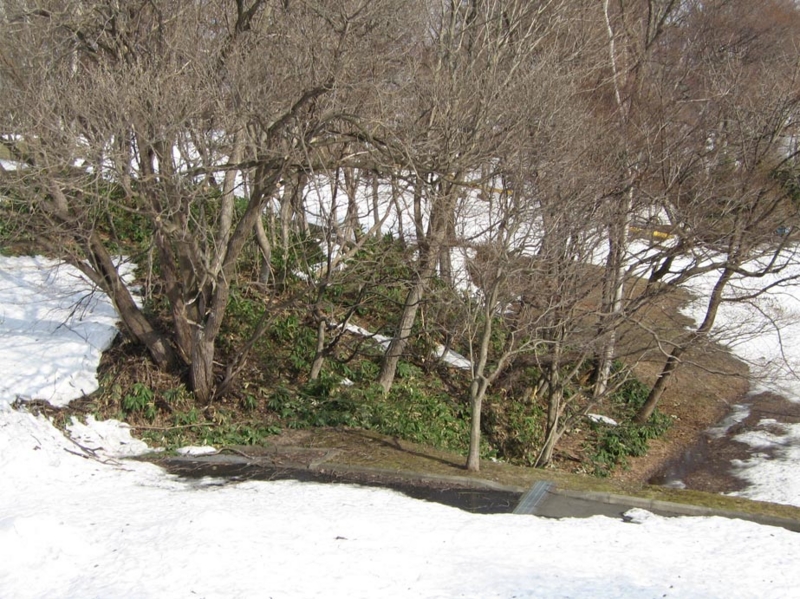 f:id:atarou:20110410071051j:image