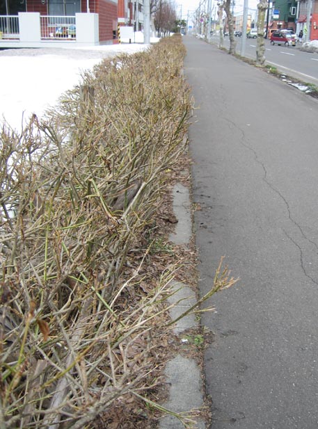 f:id:atarou:20110410193236j:image f:id:atarou:20110410193236j:image