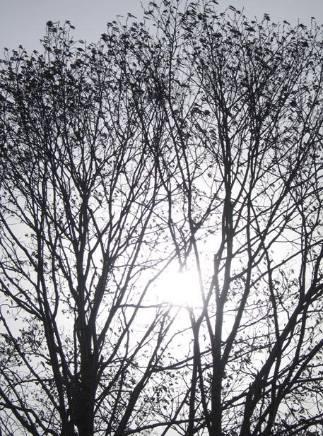 f:id:atarou:20110411055017j:image f:id:atarou:20110411055017j:image