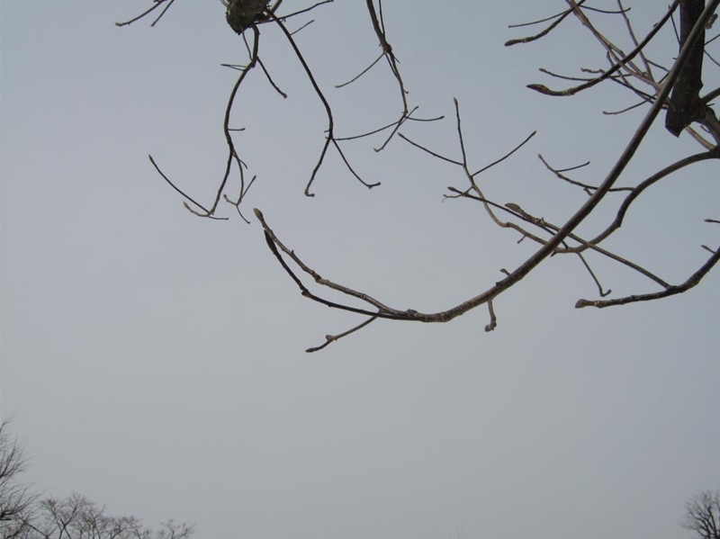 f:id:atarou:20110411055943j:image f:id:atarou:20110411055943j:image