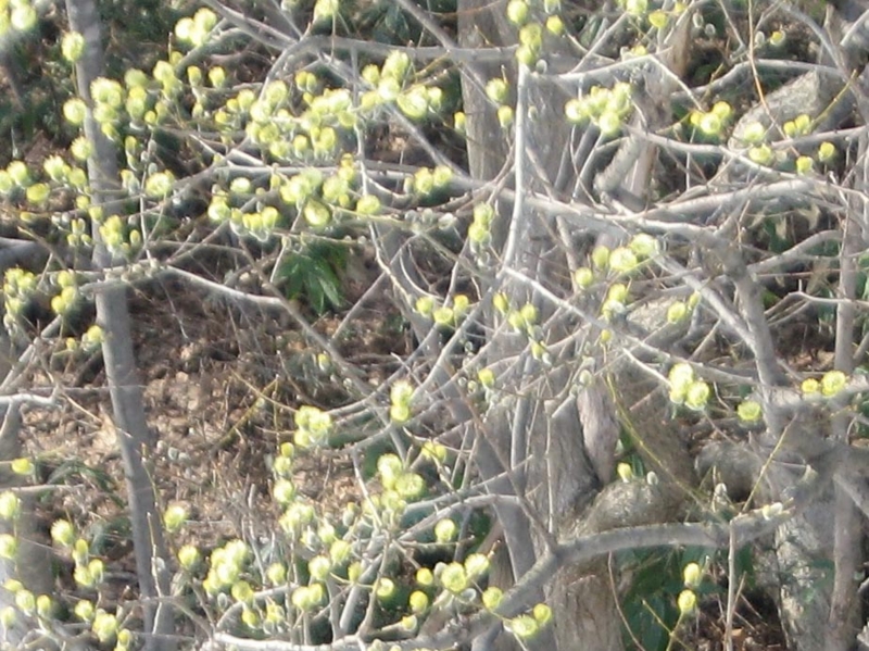 f:id:atarou:20110412070733j:image