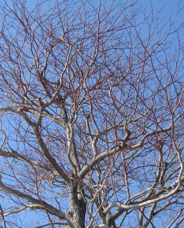 f:id:atarou:20110414175551j:image