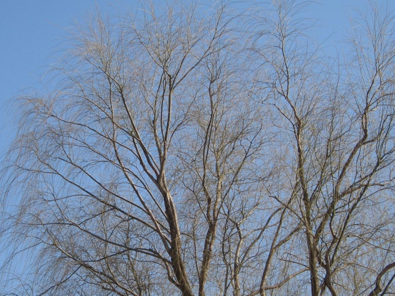 f:id:atarou:20110415061814j:image