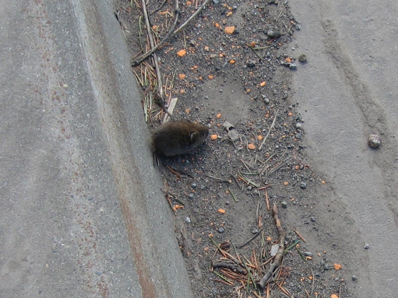 f:id:atarou:20110415062322j:image