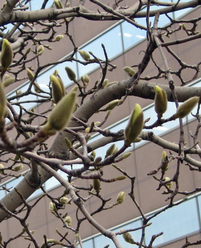f:id:atarou:20110415195800j:image