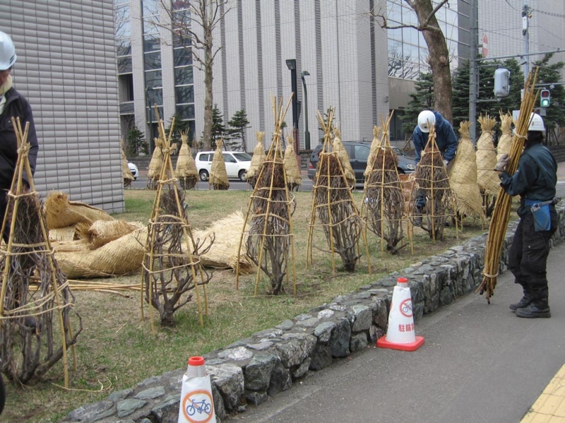 f:id:atarou:20110416064512j:image