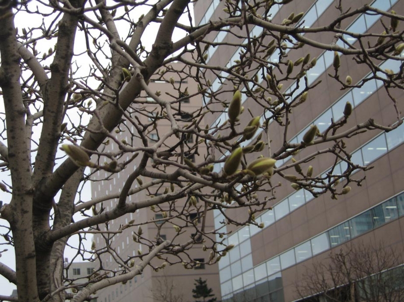 f:id:atarou:20110416065118j:image