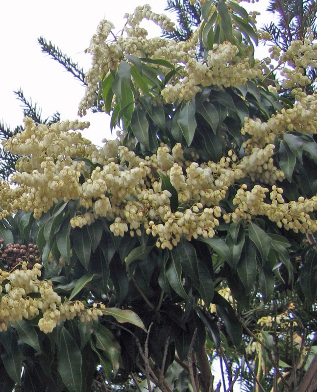f:id:atarou:20110417181255j:image
