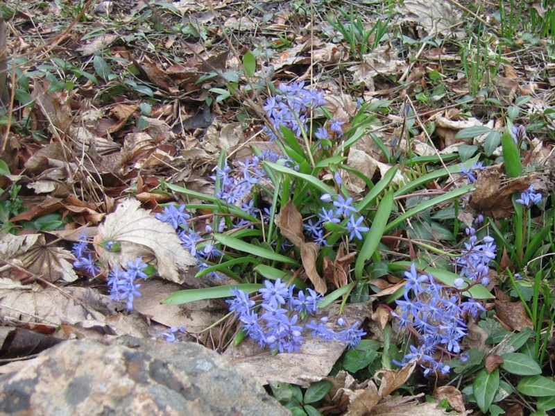 f:id:atarou:20110418063338j:image