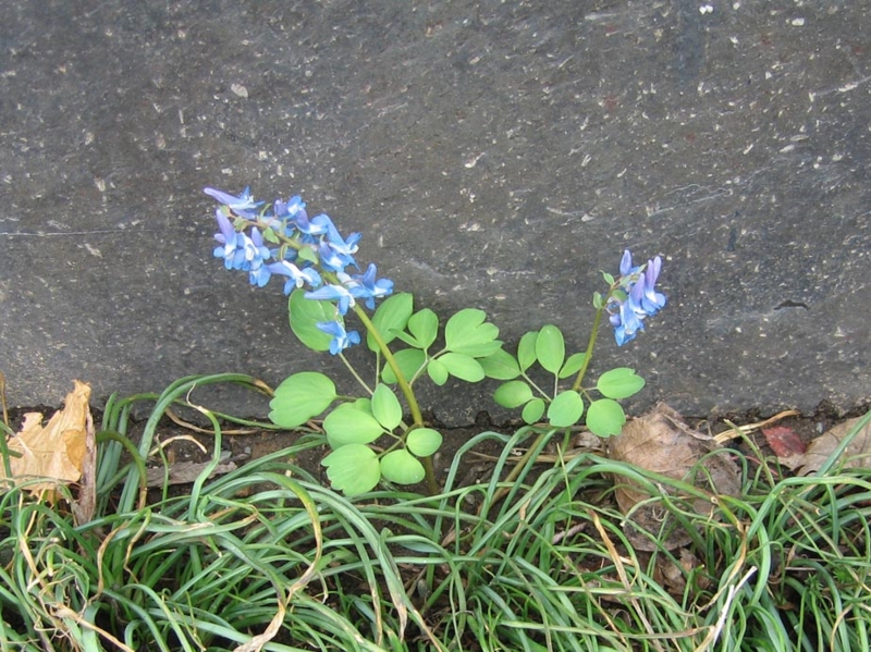 f:id:atarou:20110418063339j:image