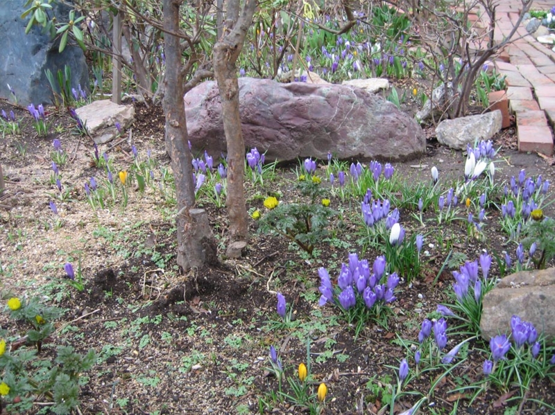 f:id:atarou:20110418175010j:image