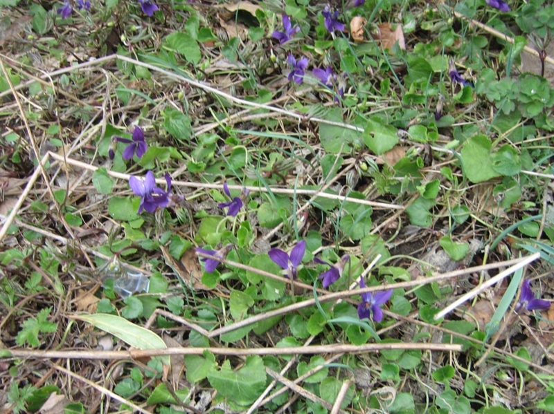 f:id:atarou:20110418175326j:image