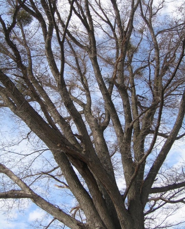 f:id:atarou:20110419173330j:image f:id:atarou:20110419173330j:image