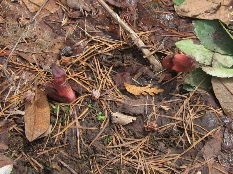 f:id:atarou:20110419174415j:image f:id:atarou:20110419174415j:image