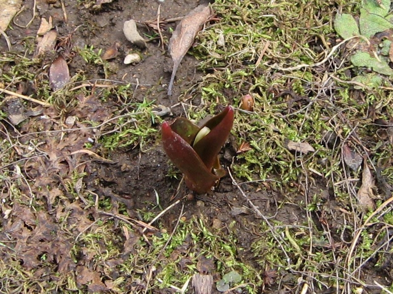 f:id:atarou:20110419174417j:image f:id:atarou:20110419174417j:image