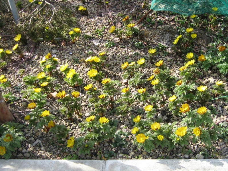 f:id:atarou:20110420060952j:image f:id:atarou:20110420060952j:image