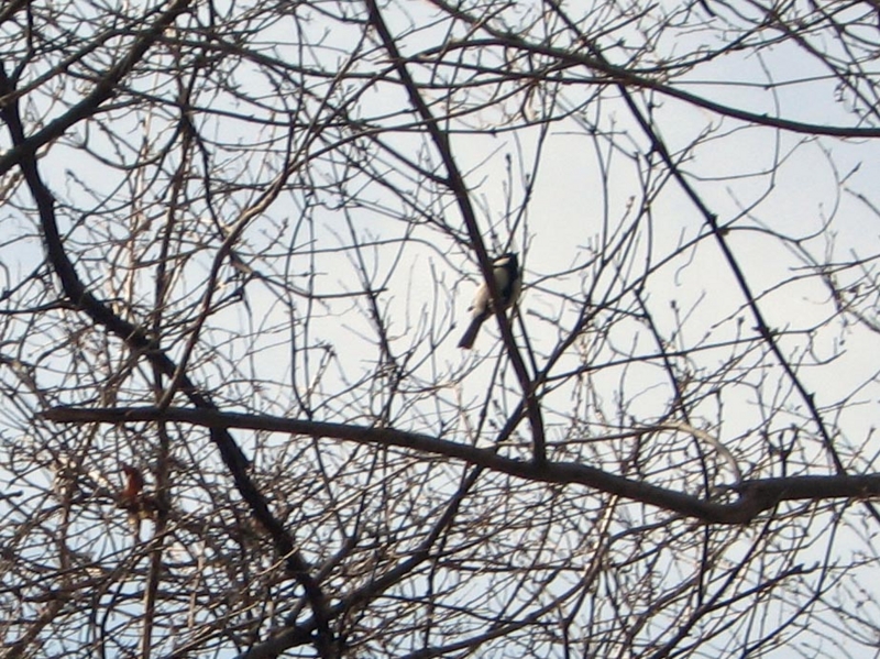 f:id:atarou:20110421055944j:image