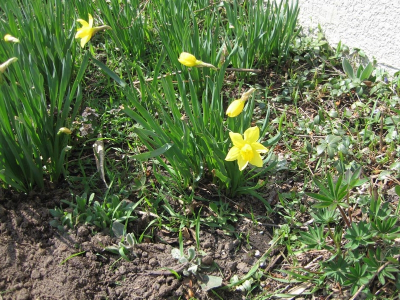 f:id:atarou:20110421055945j:image