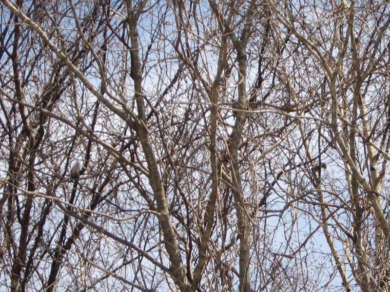 f:id:atarou:20110421061404j:image