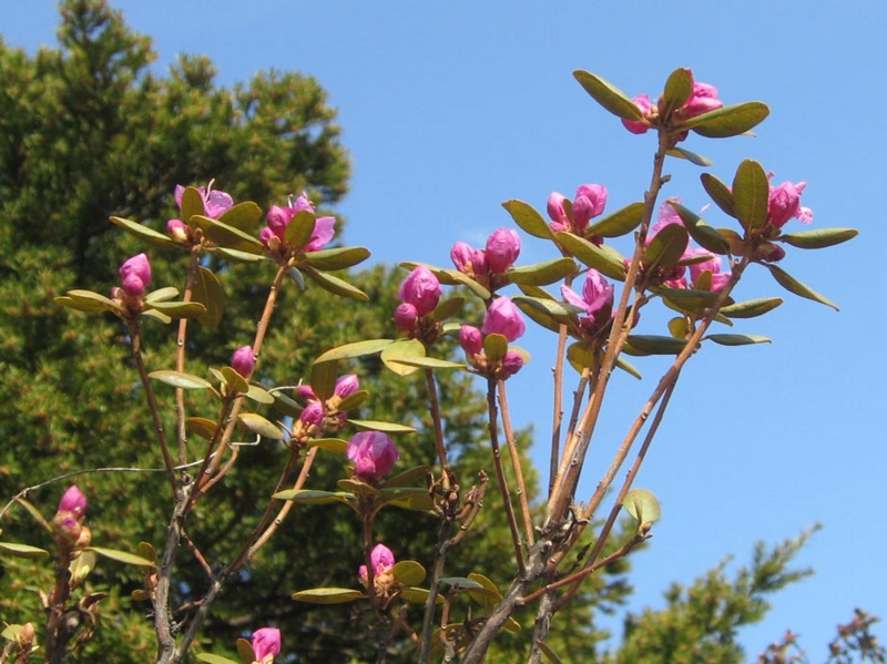f:id:atarou:20110421062547j:image