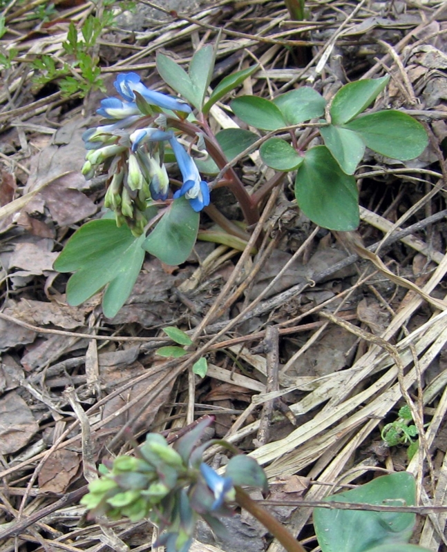 f:id:atarou:20110421192011j:image