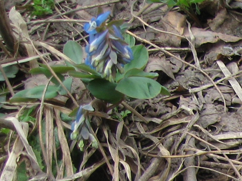 f:id:atarou:20110421194116j:image