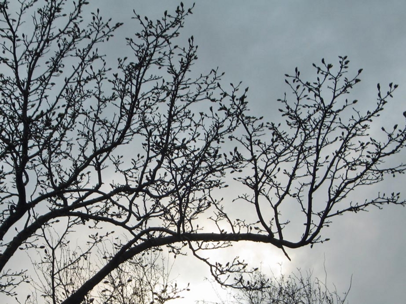 f:id:atarou:20110422055823j:image