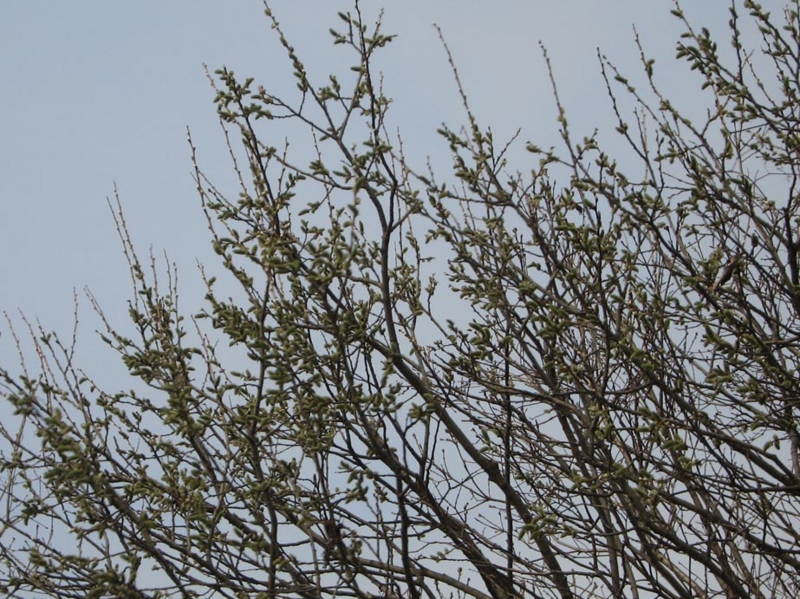 f:id:atarou:20110423062249j:image