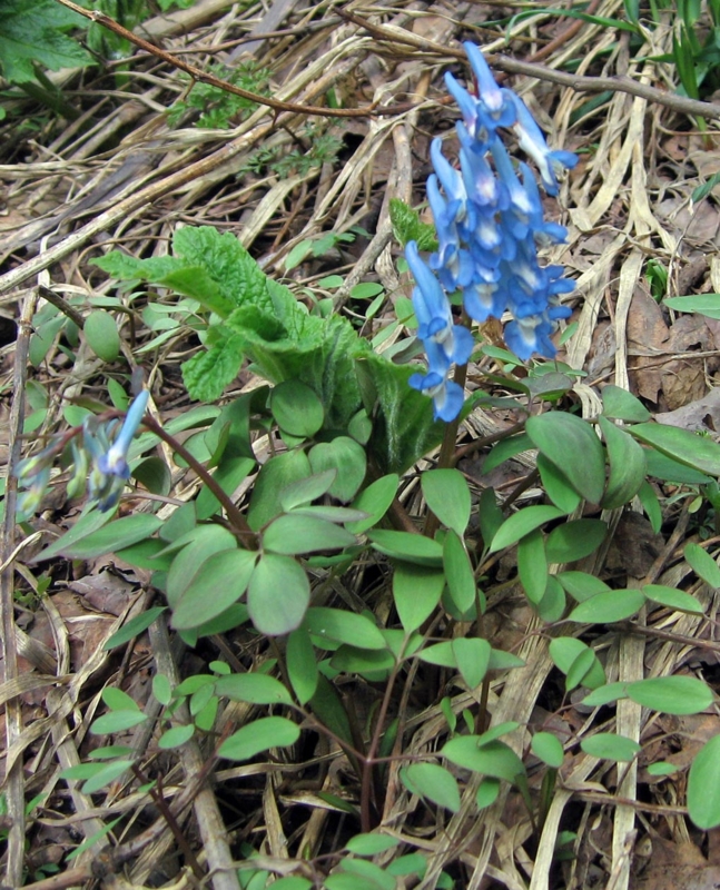 f:id:atarou:20110424190458j:image