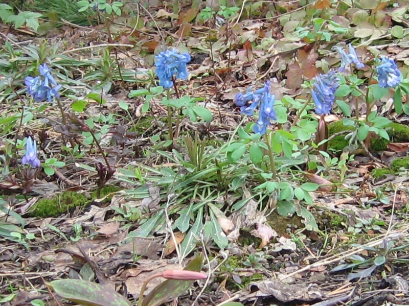 f:id:atarou:20110424192319j:image