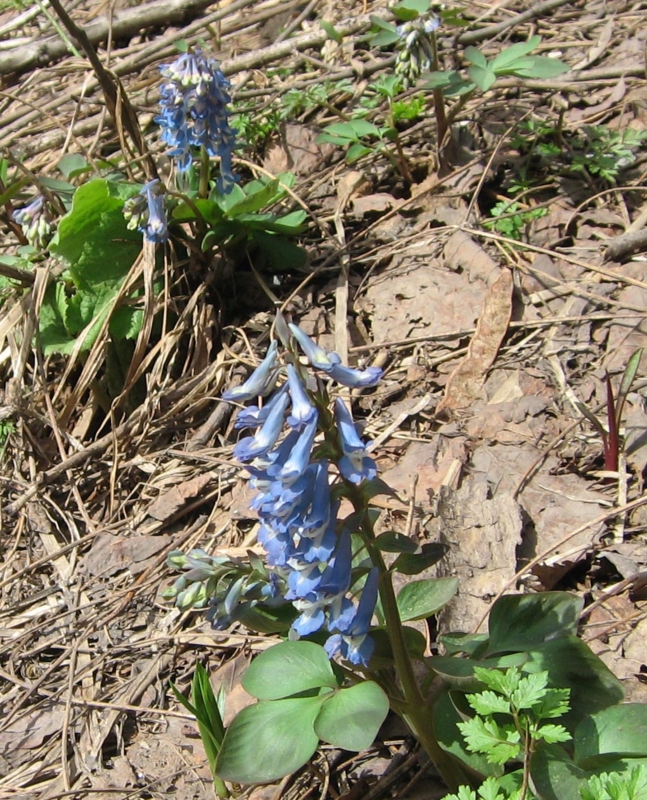 f:id:atarou:20110425065210j:image