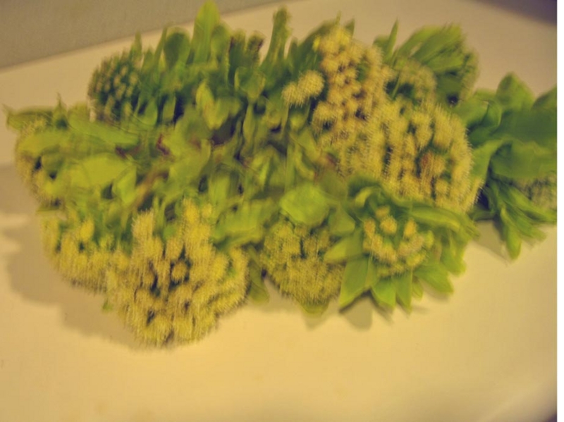 f:id:atarou:20110428065207j:image