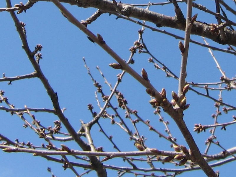 f:id:atarou:20110429053617j:image f:id:atarou:20110429053617j:image