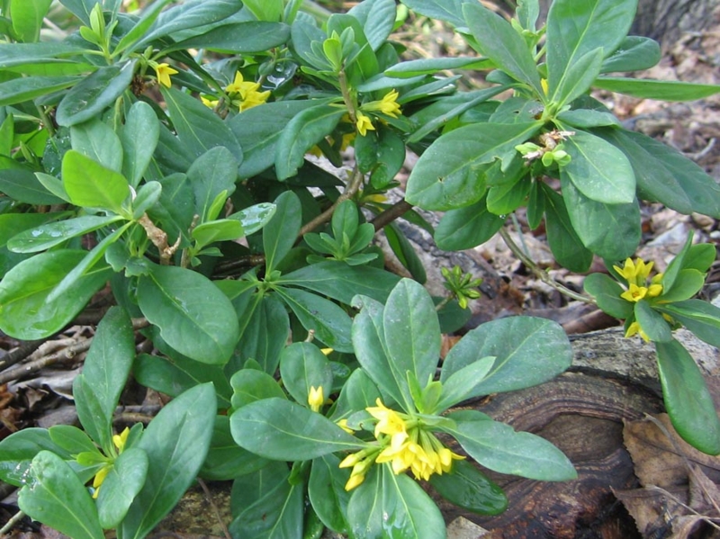 f:id:atarou:20110429053644j:image f:id:atarou:20110429053644j:image