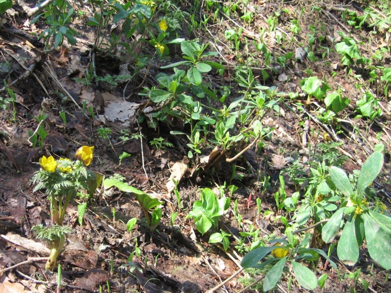 f:id:atarou:20110429053647j:image f:id:atarou:20110429053647j:image
