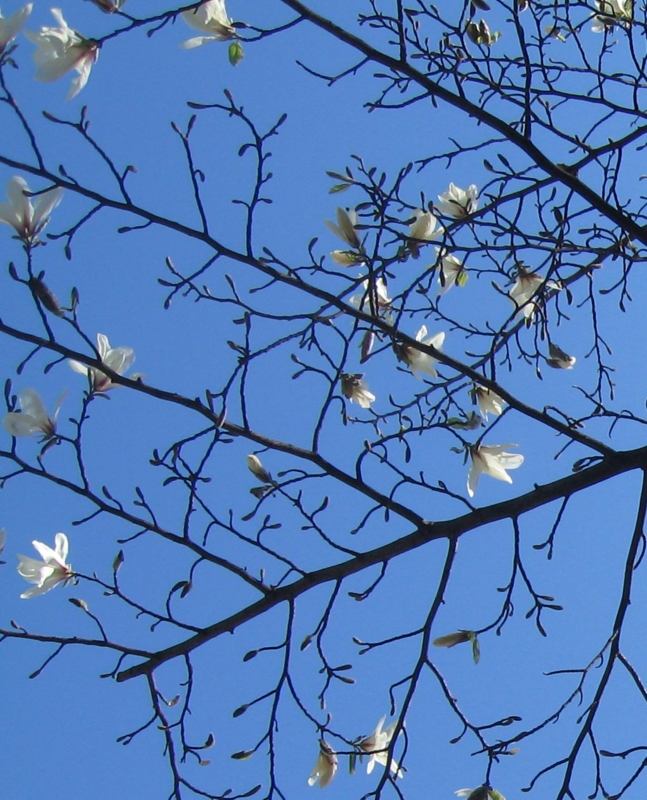 f:id:atarou:20110429205231j:image f:id:atarou:20110429205231j:image