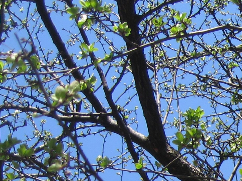 f:id:atarou:20110430063444j:image f:id:atarou:20110430063444j:image