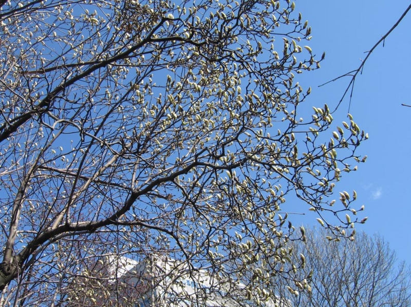 f:id:atarou:20110430063844j:image f:id:atarou:20110430063844j:image