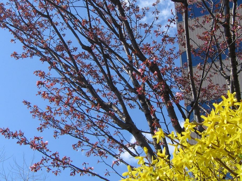 f:id:atarou:20110430064254j:image f:id:atarou:20110430064254j:image