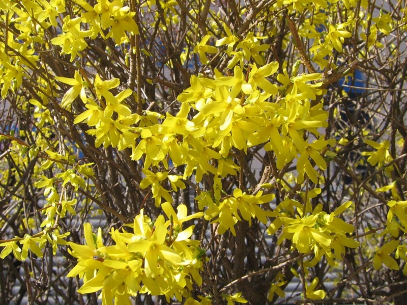 f:id:atarou:20110430064255j:image f:id:atarou:20110430064255j:image