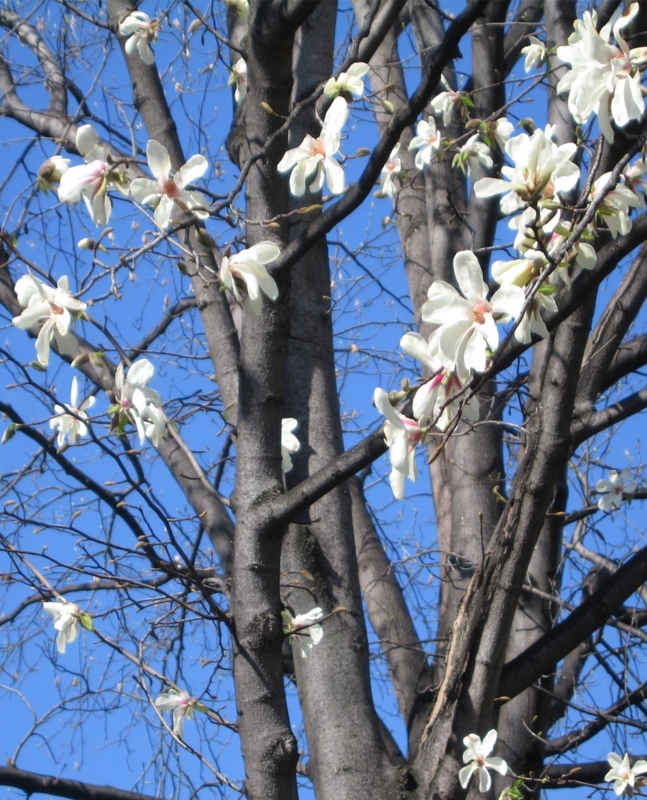f:id:atarou:20110430065028j:image f:id:atarou:20110430065028j:image