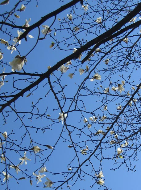 f:id:atarou:20110430065030j:image f:id:atarou:20110430065030j:image