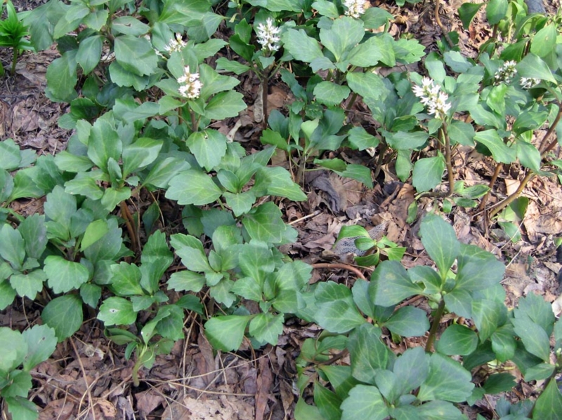 f:id:atarou:20110430065529j:image f:id:atarou:20110430065529j:image