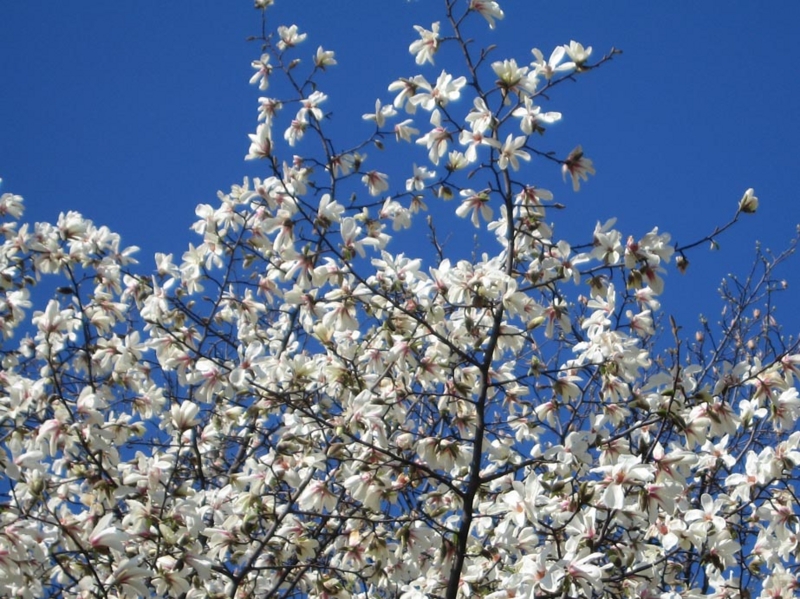 f:id:atarou:20110430070426j:image f:id:atarou:20110430070426j:image