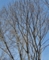 20110515193418