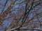 20110516061720
