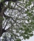 20110517055541
